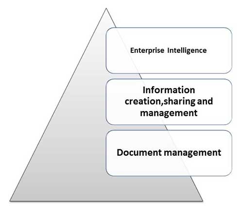 Level Knowledge Management