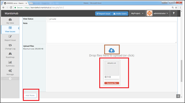 View Issue Module