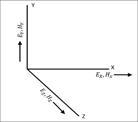 Electric Magnetic Field