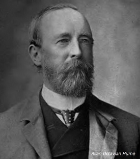 Allan Octavian Hume