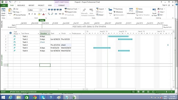 Gantt Chart View