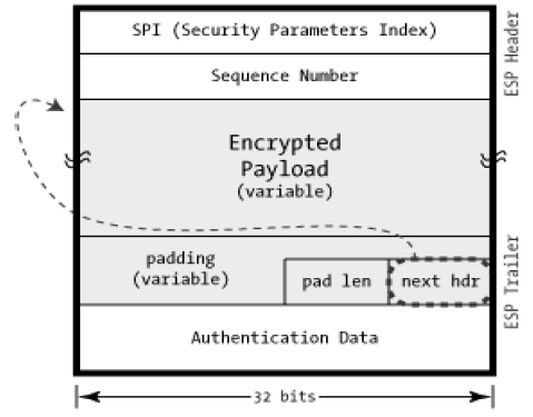 ESP Field Arrangement