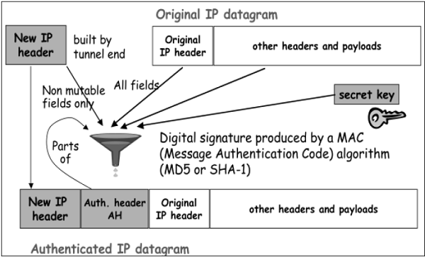 Ip Packet Transmission2