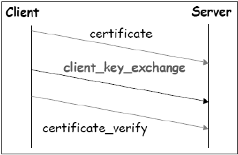 SSL Session Establishment Phase3