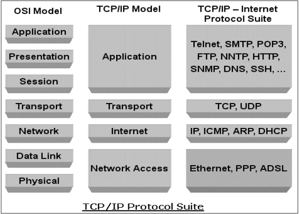 TCP/IP Protocol