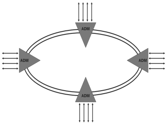 SDH Ring System