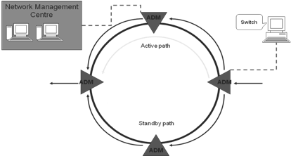 SDH Network Management