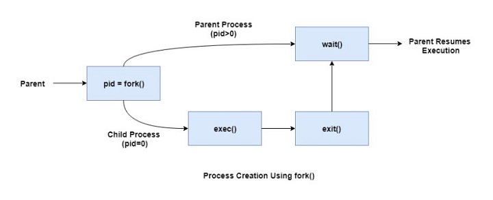 Process Creation