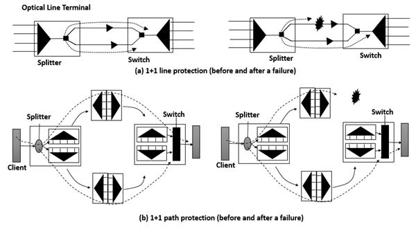 Path Protection