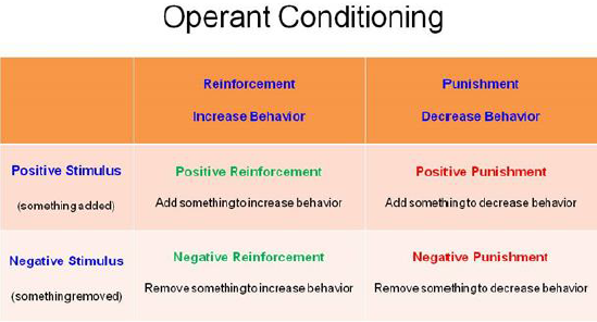 Operant Conditioning Theory