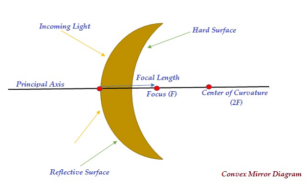 Reflected Rays of Convex