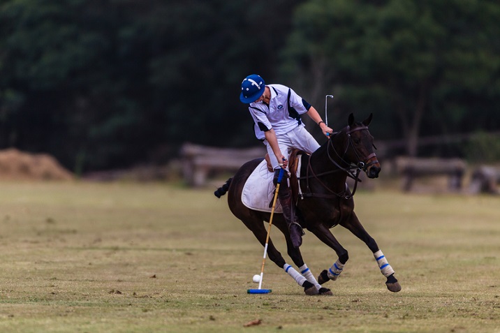 Polo Player