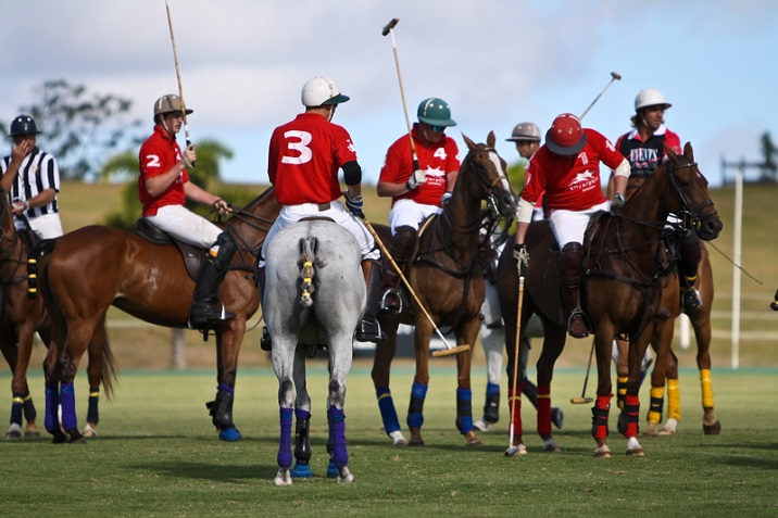 Polo Rules