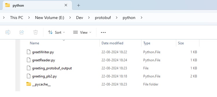 Project Structure Python