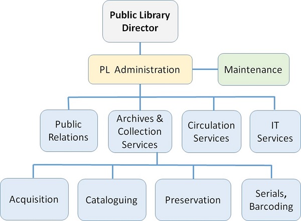 Public Library Director