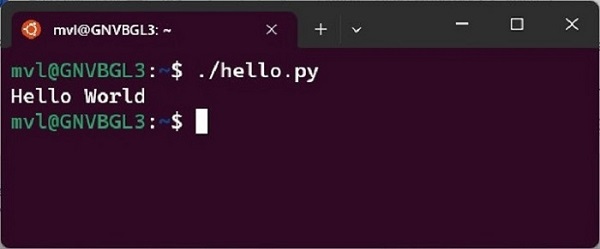 output hello world