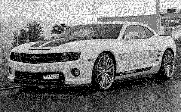 car bw