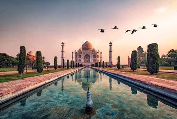 tajmahal and birds