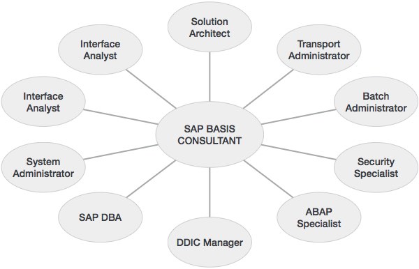 SAP Basis Consultant