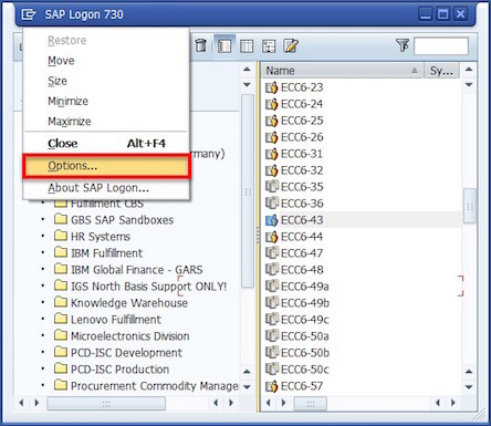 SAP Logon Option