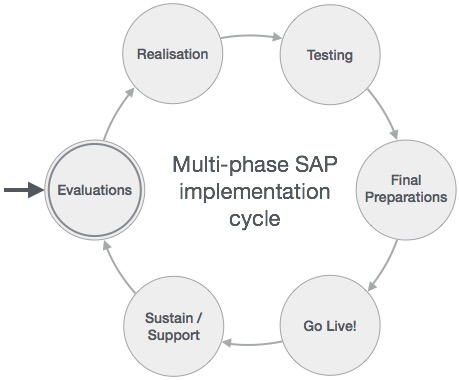 SAP Multiphase Project Lifecycle