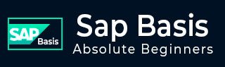 SAP Basis Tutorial