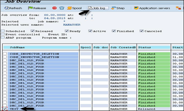 SAP Job Overview