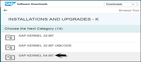 SAP Kernel 64-BIT