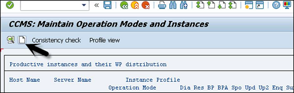 SAP New Instances