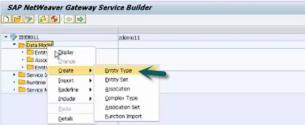 Create Entity Type