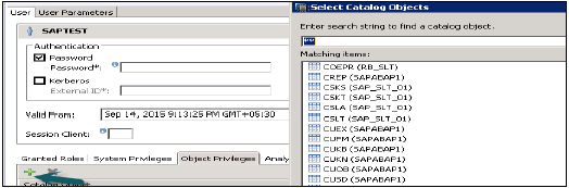 Object SQL Privileges