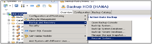 Recover of Hana System