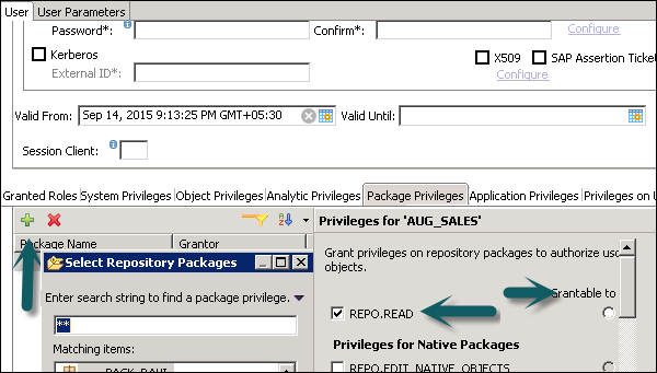 Package Privileges Tab