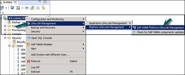 Register SAP HANA