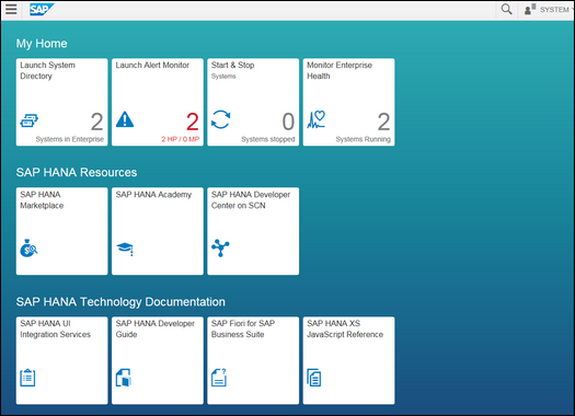 SAP HANA System