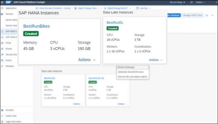 SAP Instances