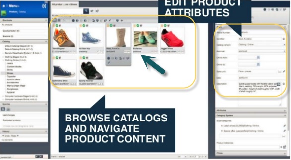 Catalog Management