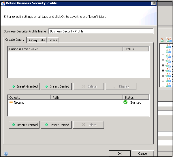 Define Business Security Profile