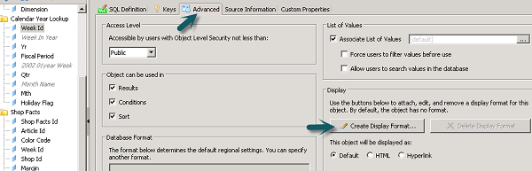 Display Formats