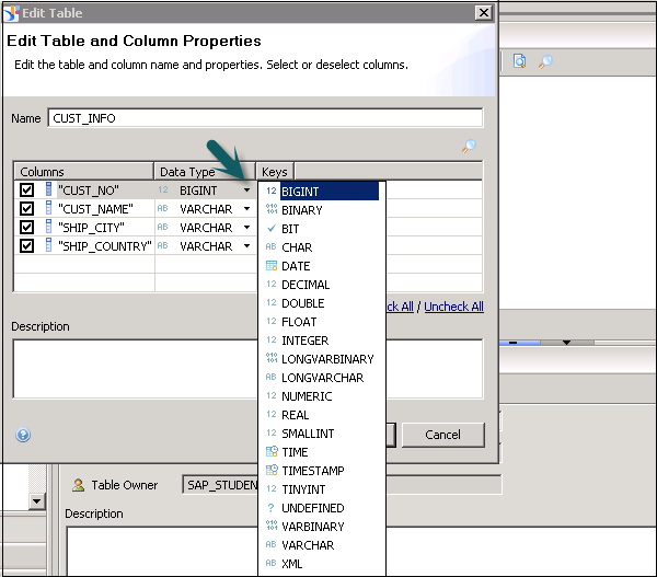 Edit the Data Type