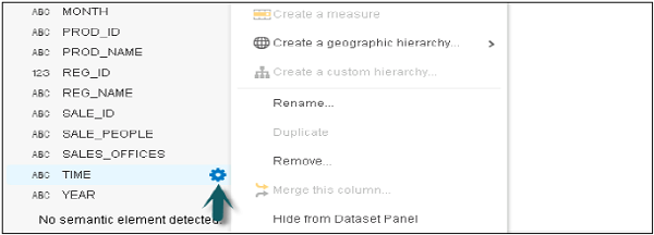 Dimension and Measure Panel List