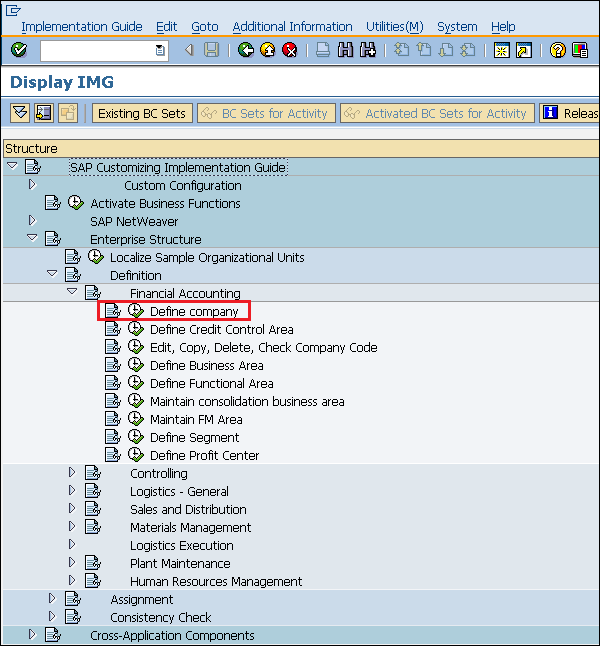 SAP Define Company
