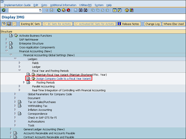SAP posting period fiscal year assign to company