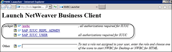 Launch NetWeaver