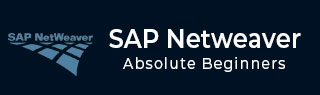 SAP NetWeaver