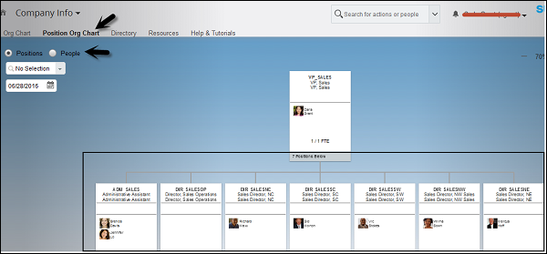 Position Org Chart