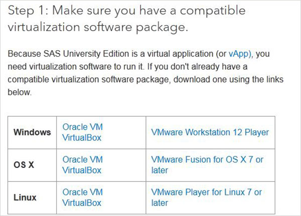 SAS_environment2_vm_options