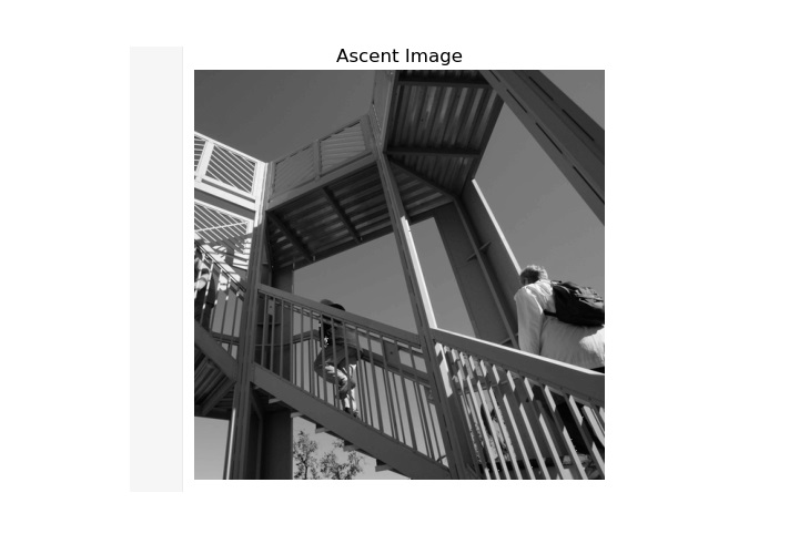 scipy_ascent_method_one