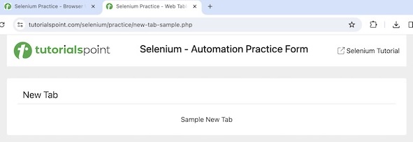 Selenium Browser Commands 5