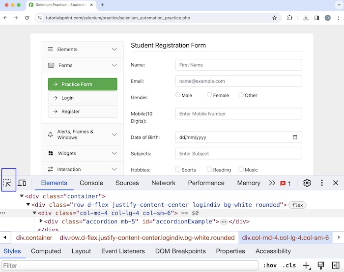 Selenium Checkbox 1